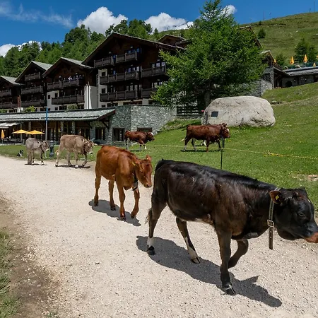 Riffelalp 2222m 5*
